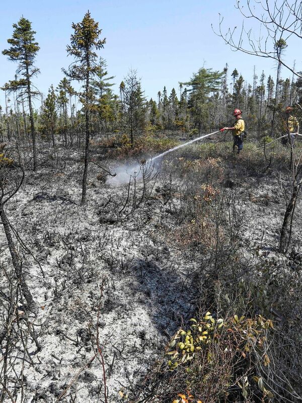 Bislang wüten Waldbrände vor allem im Westen Kanadas