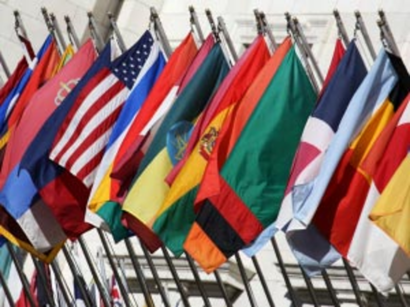 internationale Flaggen stehen - Foto: iStockphoto.com / DanCardiff