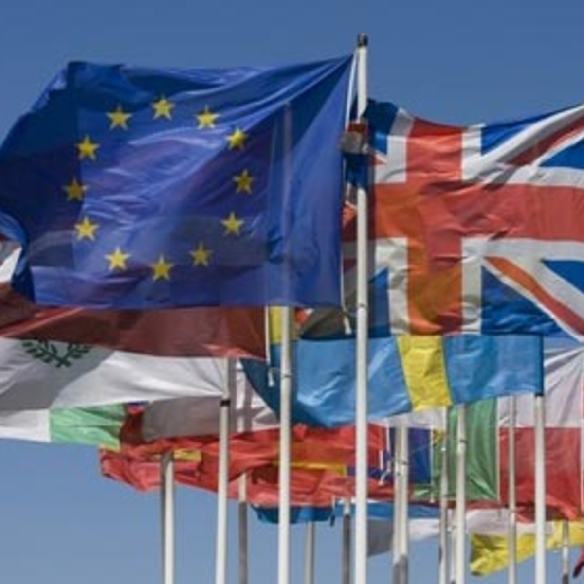 internationale Flaggen im Wind - Foto: Fotolia.com / Sven Hoppe