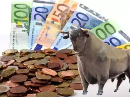 Geld und Bulle - Foto: Fotolia.com / Heino Pattschull