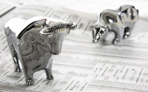 Bulle und Bär - Foto: Fotolia.com / Infinite XX