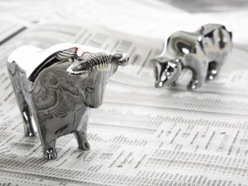 Bulle und Bär - Foto: Fotolia.com / Infinite XX