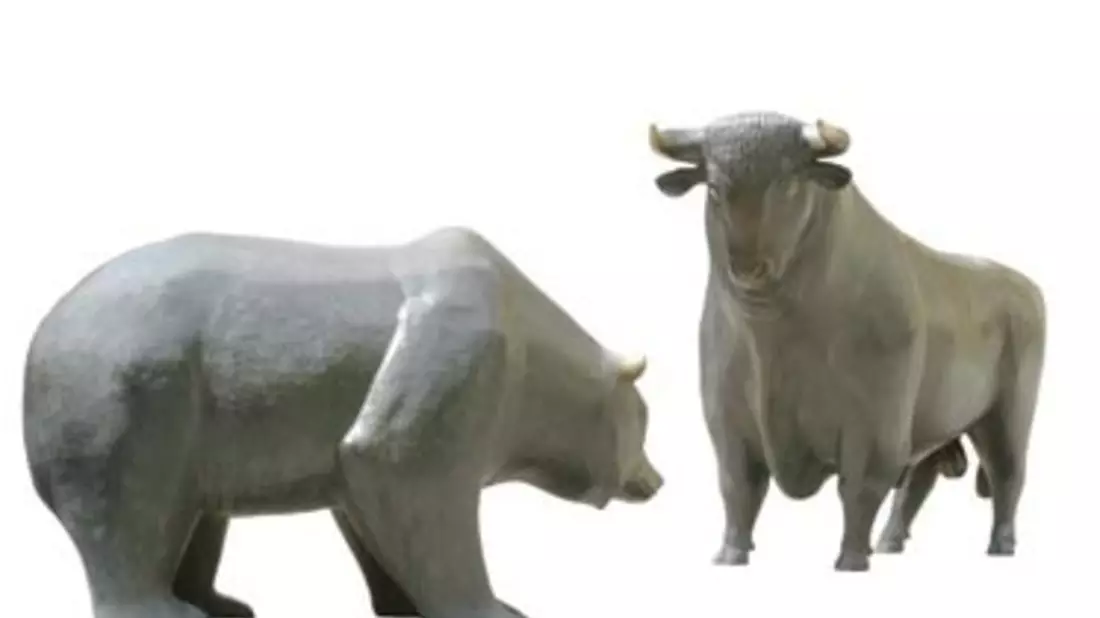 Bär und Bulle - Bild: Fotolia.com / Heino Pattschull