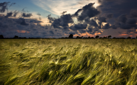 Sturm - Foto: iStockphoto.com /  cinoby