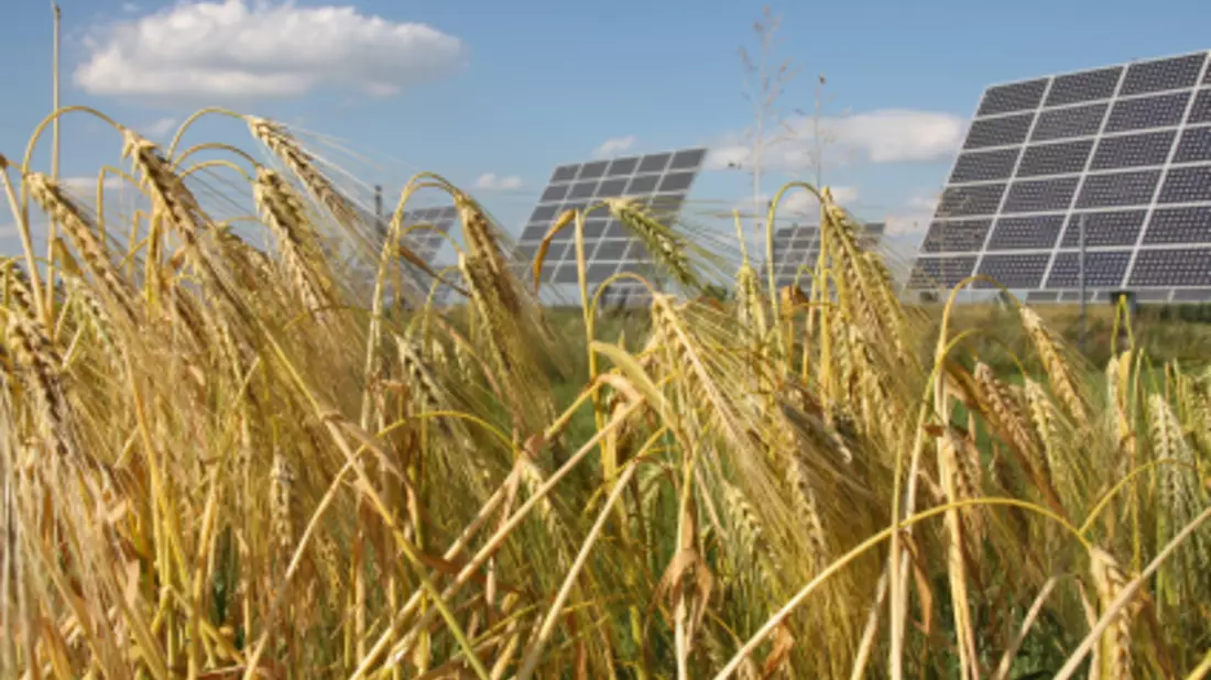 Solaranlage - Bild: iStockphoto.com / GgWink