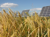 Solaranlage - Foto: iStockphoto.com / GgWink