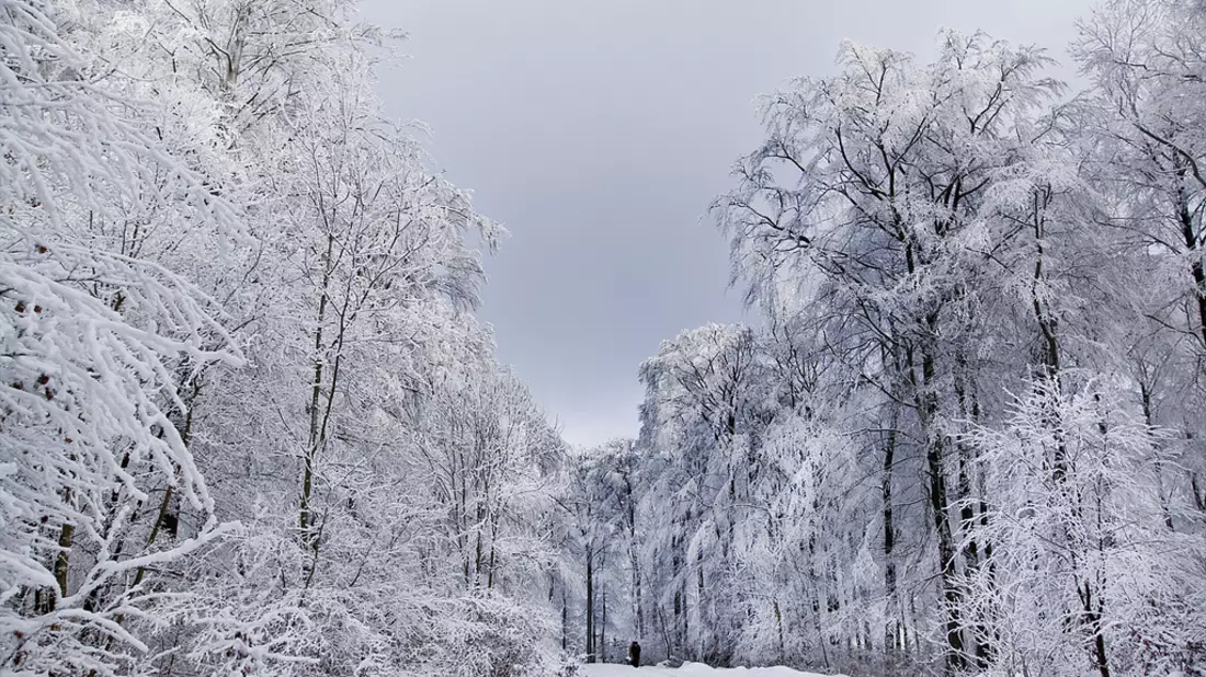 Schön, aber kalt: Eine Winterlandsc - Bild: Flickr.com © !Koss (CC BY-ND 2.0)
