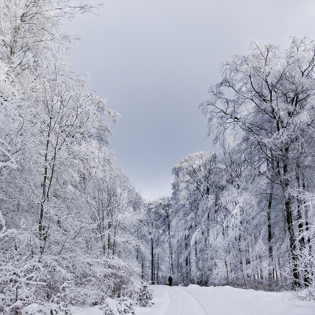 Schön, aber kalt: Eine Winterlandsc - Foto: Flickr.com © !Koss (CC BY-ND 2.0)