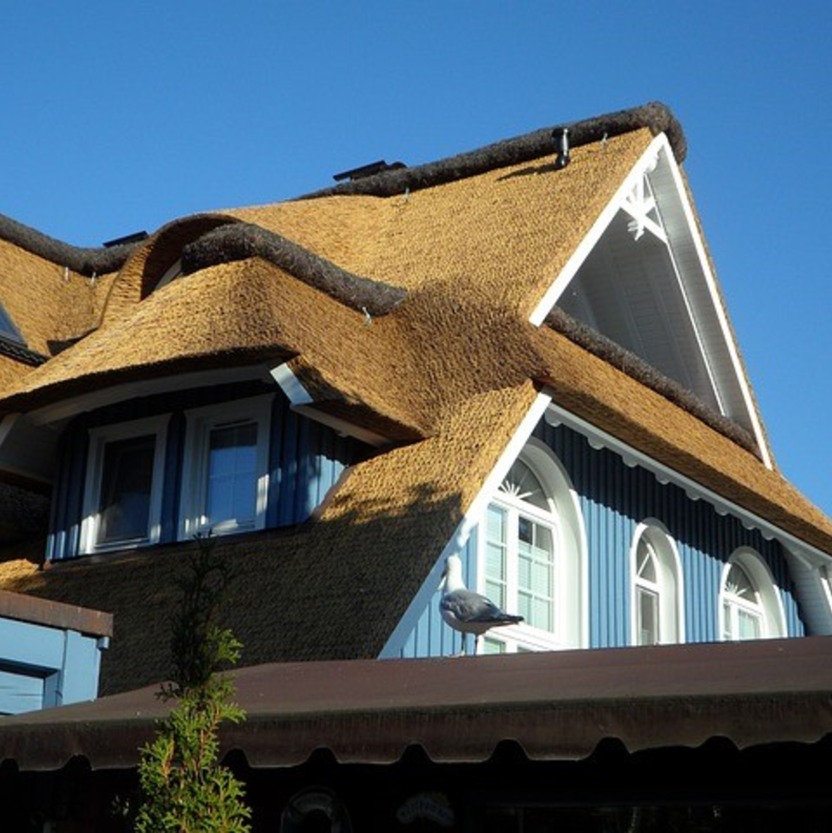 Die Ostseeküste - Foto: pixabay.com © PublicDomainPictures (CC0 1.0)