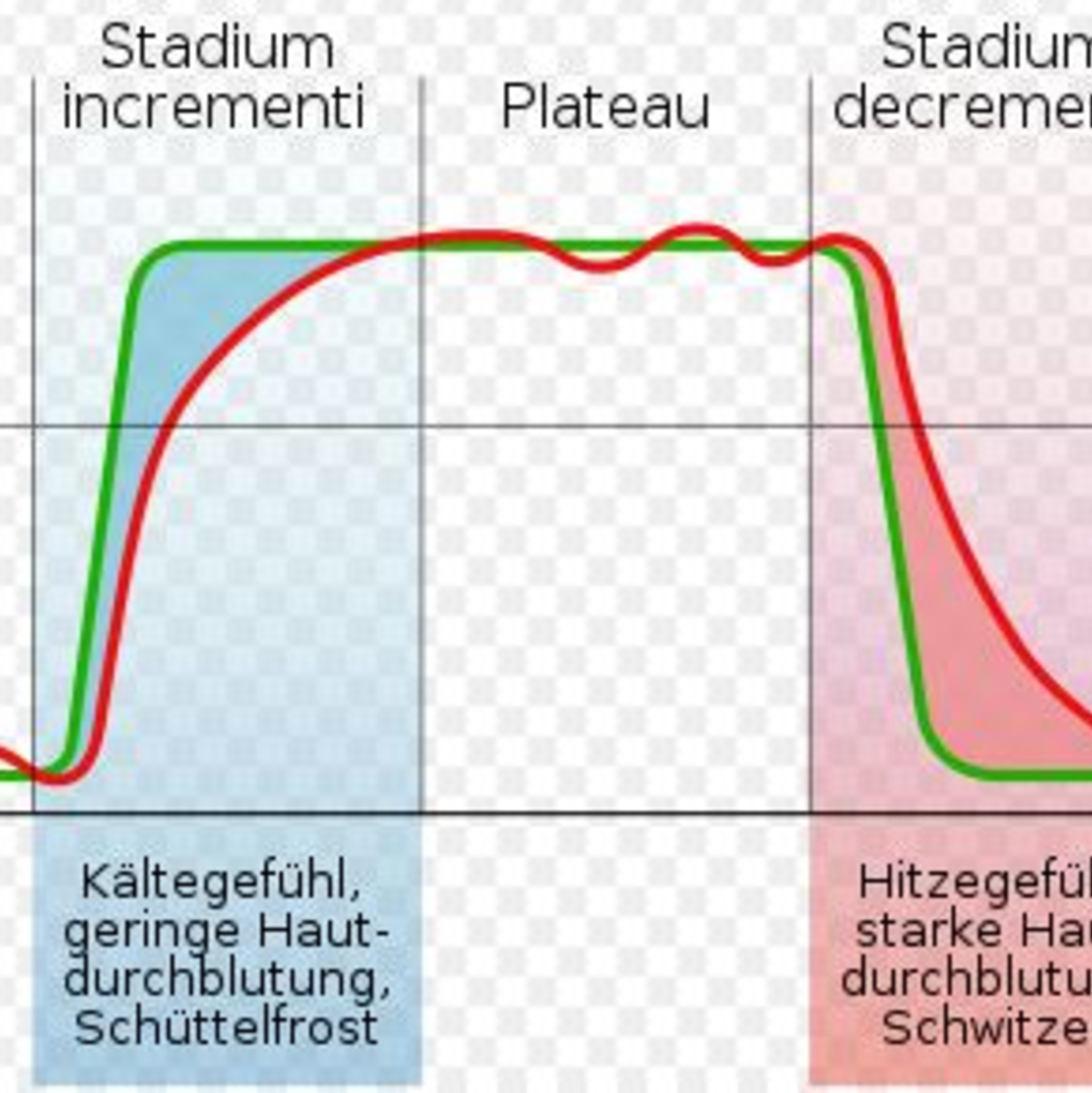 Typische Fieberkurve - Foto: commons.wikimedia.org © DooFi (CC BY-SA 3.0) 