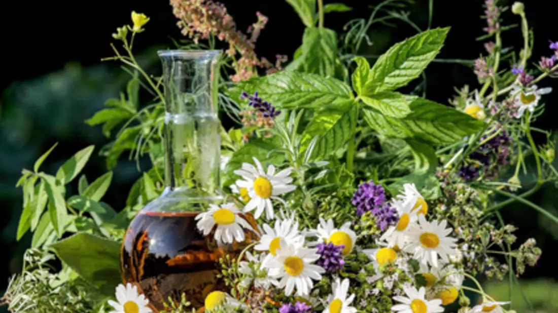 Viele Kräuter helfen gegen Erkältungsbeschwerden und können im heimischen Garten gezüchtet werden - Bild: © Marina Lohrbach - Fotolia.com 