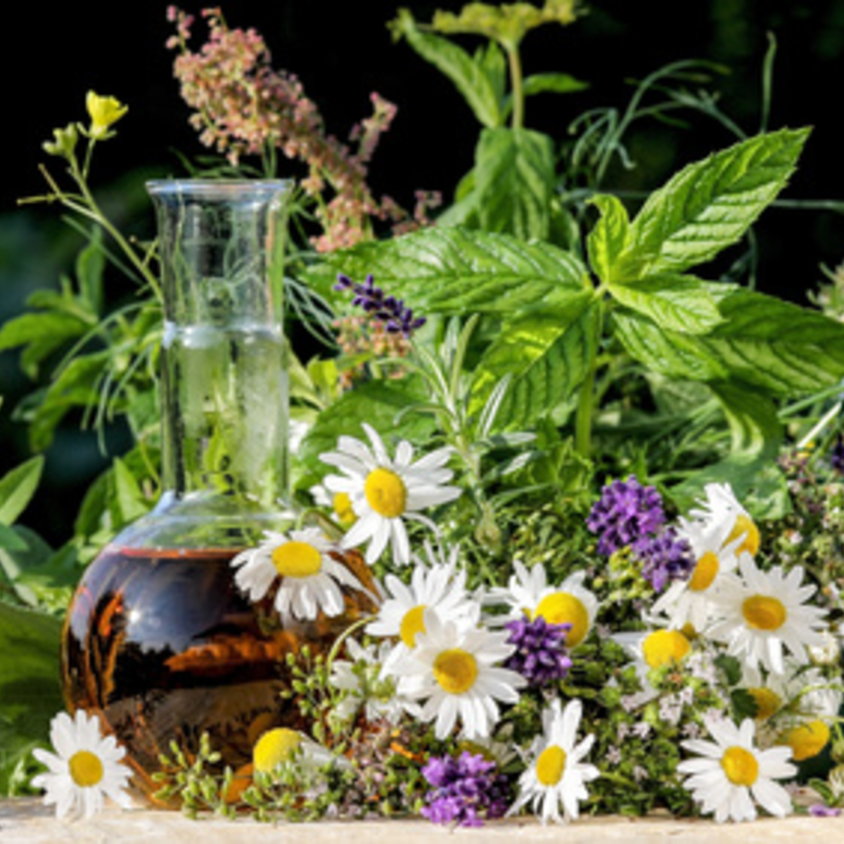 Viele Kräuter helfen gegen Erkältungsbeschwerden und können im heimischen Garten gezüchtet werden - Foto: © Marina Lohrbach - Fotolia.com 