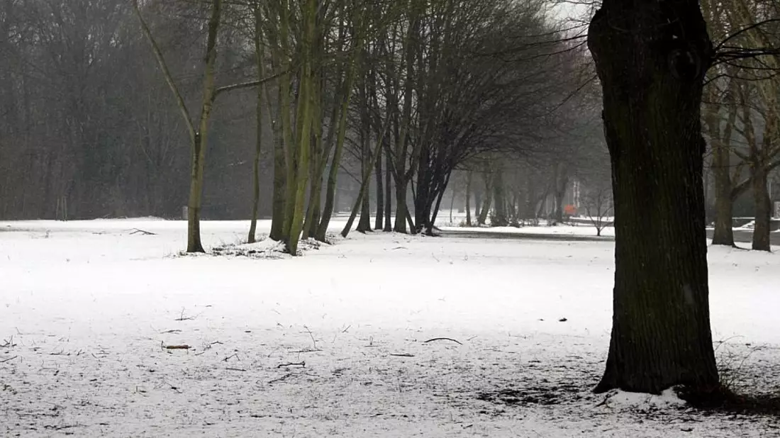 Winterlandschaft (Archiv) - Bild: über dts Nachrichtenagentur