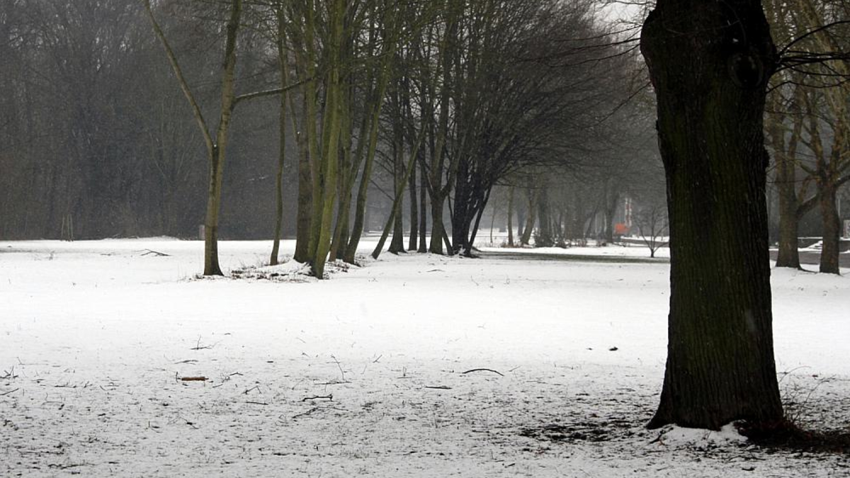 Winterlandschaft (Archiv) - Foto: über dts Nachrichtenagentur