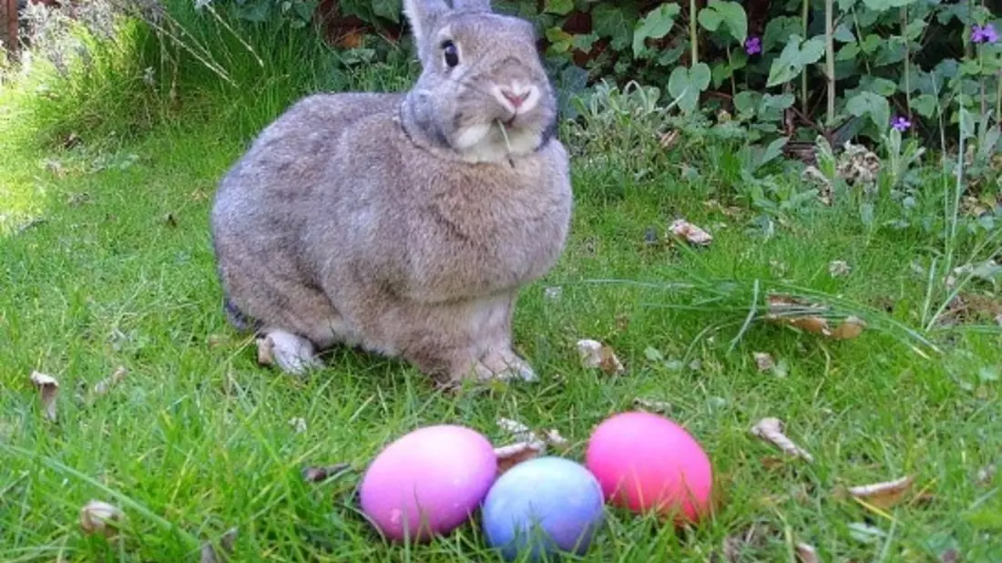 Über Ostern verreisen - Bild: Commons.wikimedia.org © Gerbil (CC BY-SA 3.0)
