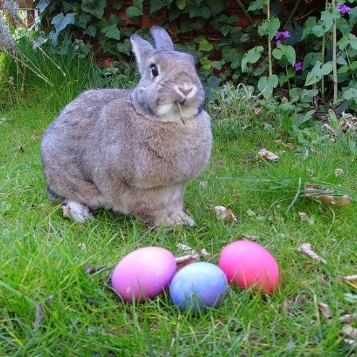 Über Ostern verreisen - Foto: Commons.wikimedia.org © Gerbil (CC BY-SA 3.0)