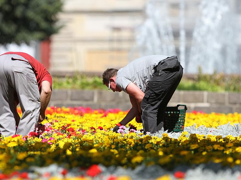Gartenarbeiter auf einem Blumenbeet (Archiv) - Foto: über dts Nachrichtenagentur