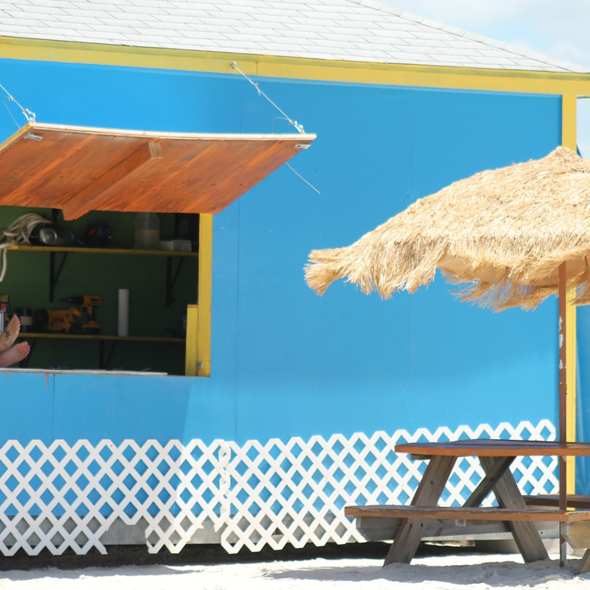 Ist die Hitze zu groß, sollten schattige Plätze zur Verfügung stehen - Foto: Pixabay.com © Greyerbaby (CC0 1.0)