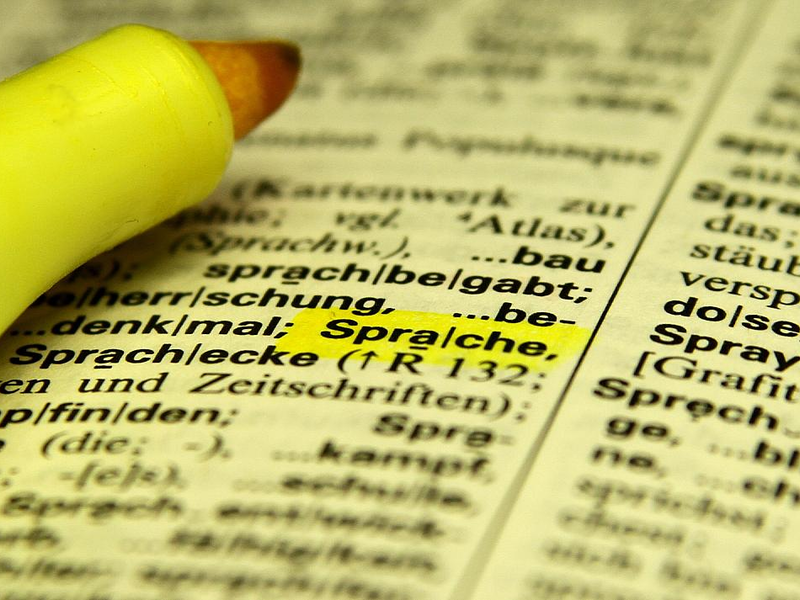 Wörterbuch (Archiv) - Foto: über dts Nachrichtenagentur