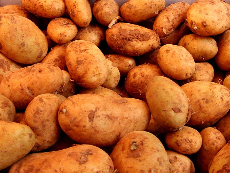 Kartoffeln (Archiv) - Foto: über dts Nachrichtenagentur