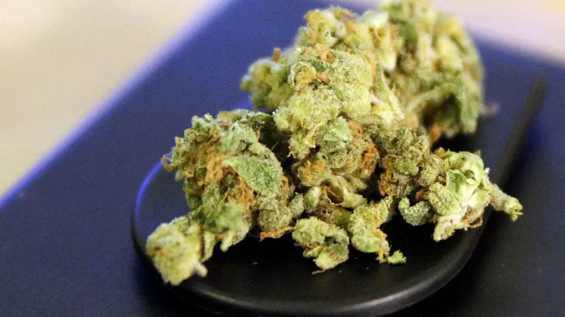 Cannabis - Bild: über dts Nachrichtenagentur