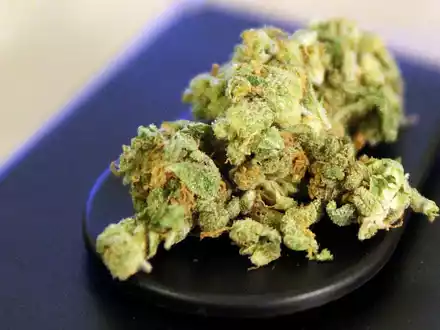 Cannabis (Archiv) - Foto: über dts Nachrichtenagentur