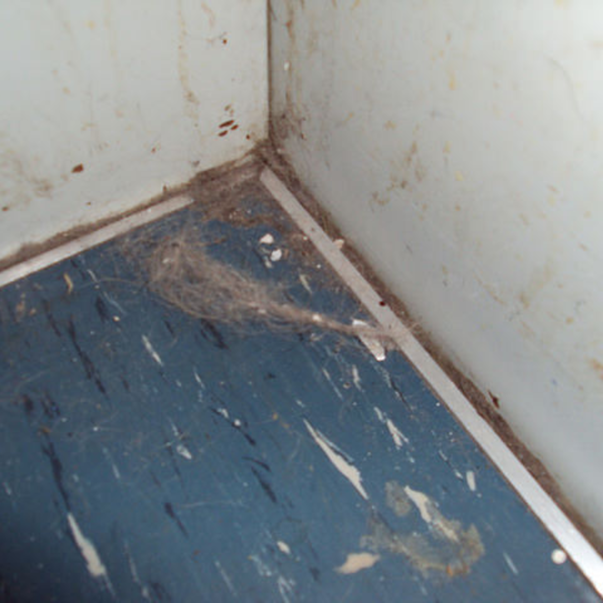 Euro Estates GmbH, Zürich - Ungepflegte Immobilie - Foto: Fredy Wyss