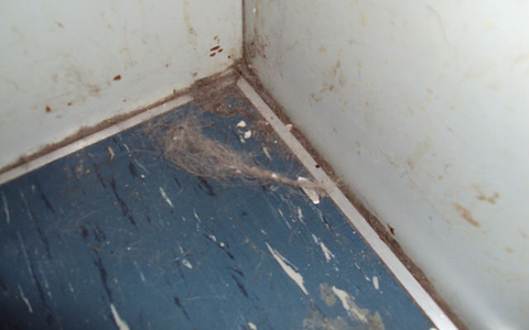 Euro Estates GmbH, Zürich - Ungepflegte Immobilie - Foto: Fredy Wyss