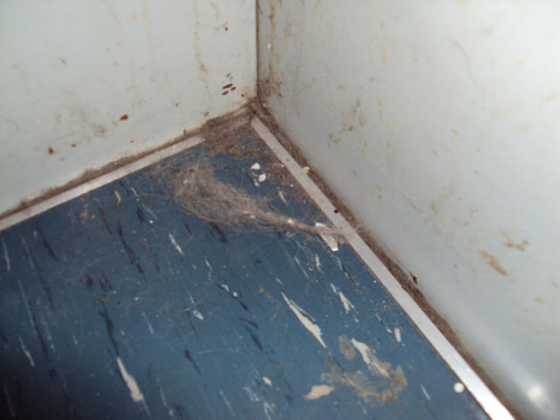 Euro Estates GmbH, Zürich - Ungepflegte Immobilie - Foto: Fredy Wyss