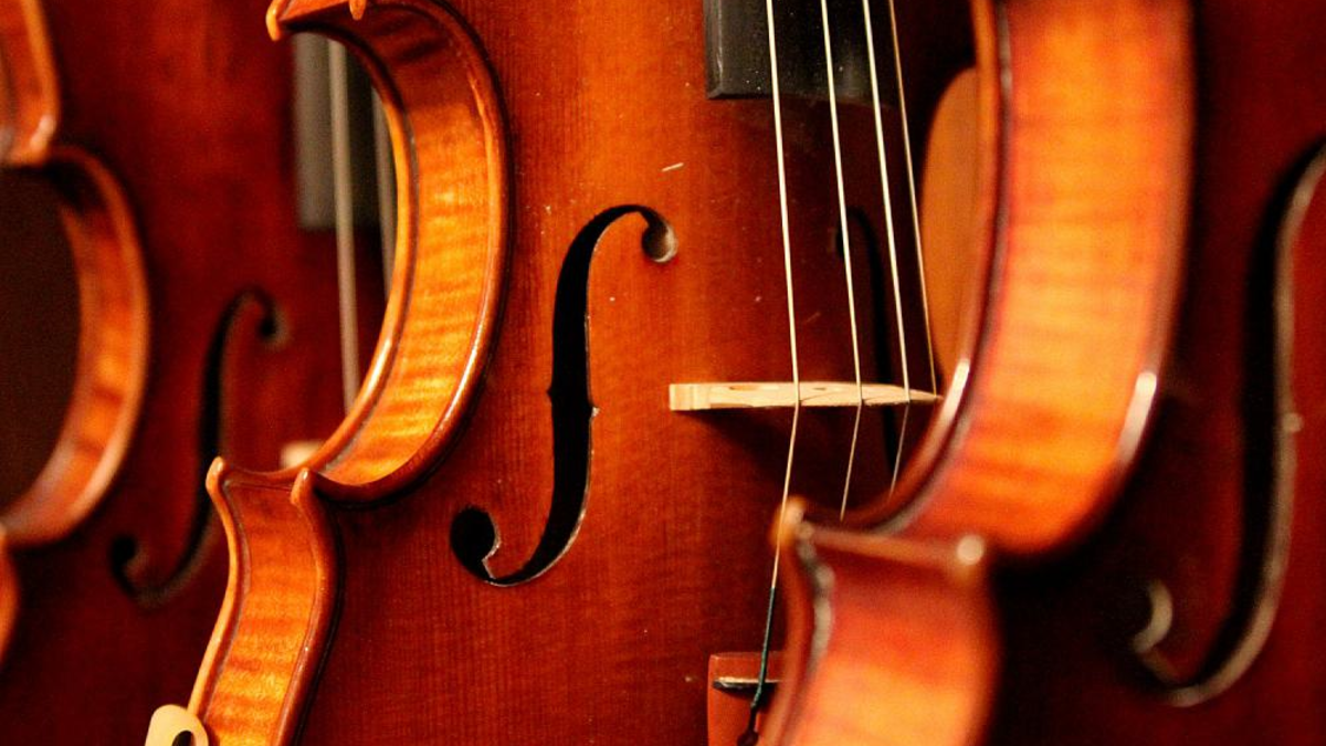 Geigen - Foto: über dts Nachrichtenagentur