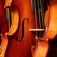 Geigen - Foto: über dts Nachrichtenagentur