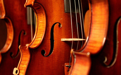 Geigen - Foto: über dts Nachrichtenagentur