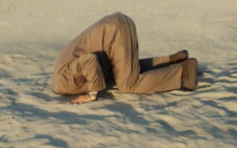 denial - Foto: Jürgen W. Schmidt, Wachstum-in-der-krise