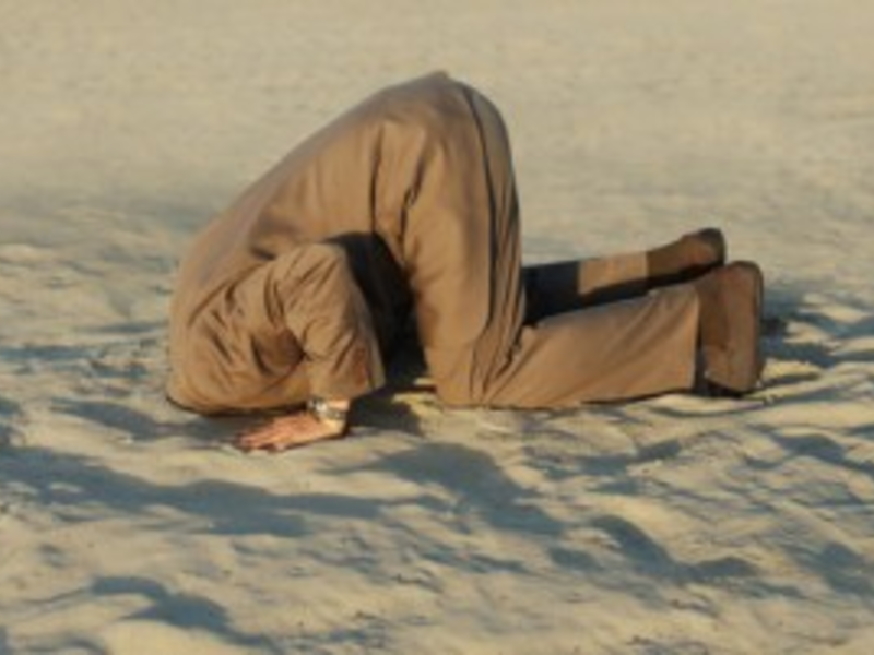 denial - Foto: Jürgen W. Schmidt, Wachstum-in-der-krise