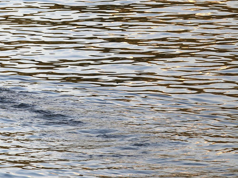 Wasser - Foto: über dts Nachrichtenagentur