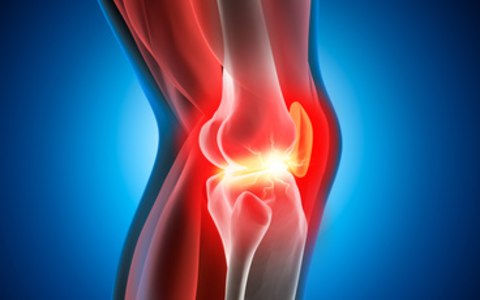  - Foto: Fotolia, 62232603, psdesign1