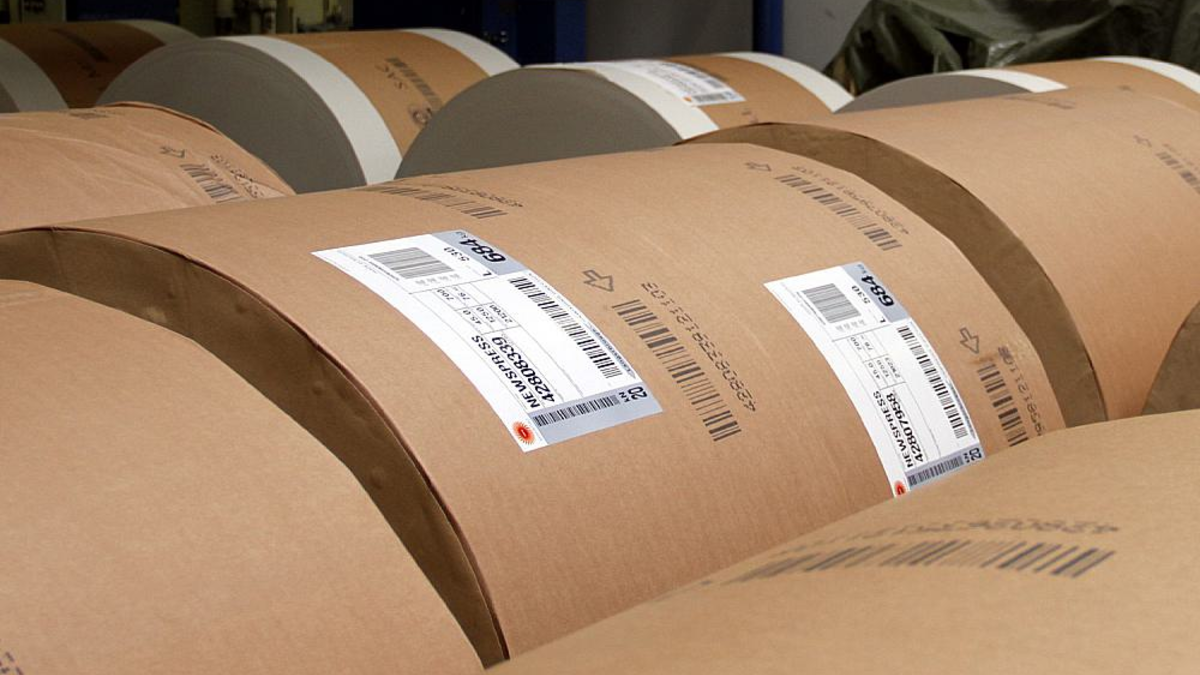 Papierrollen (Archiv) - Foto: über dts Nachrichtenagentur