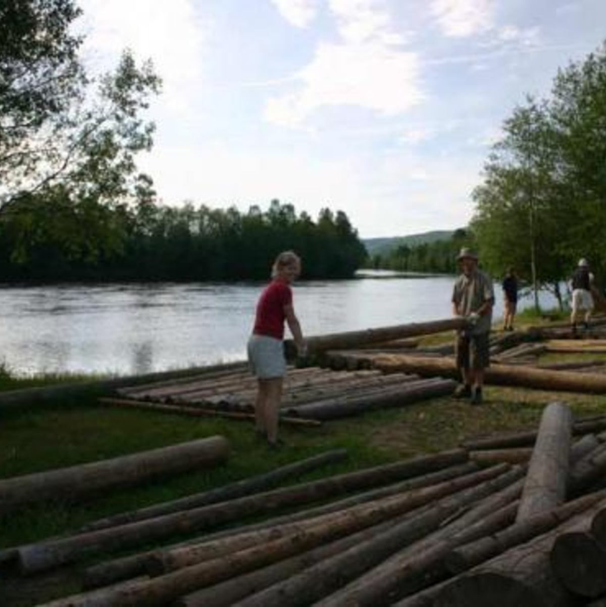 Sortieren der Stämme nach Größe - Foto: Torsten Dann