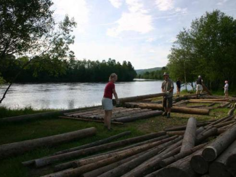 Sortieren der Stämme nach Größe - Foto: Torsten Dann