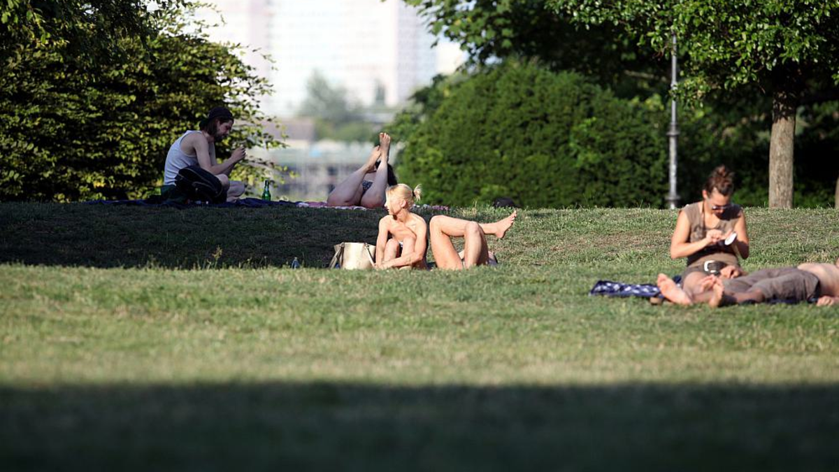 Sonnenbaden auf einer Wiese - Foto: über dts Nachrichtenagentur