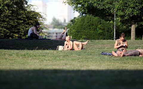 Sonnenbaden auf einer Wiese - Foto: über dts Nachrichtenagentur