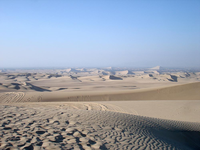 Wüste (Archiv) - Foto: über dts Nachrichtenagentur