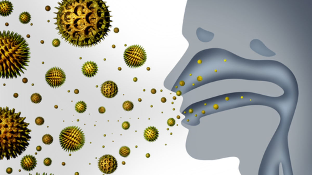  - Foto: © Shutterstock.com / Lightspring