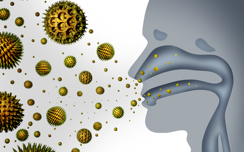  - Foto: © Shutterstock.com / Lightspring