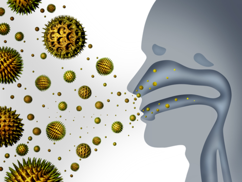  - Foto: © Shutterstock.com / Lightspring