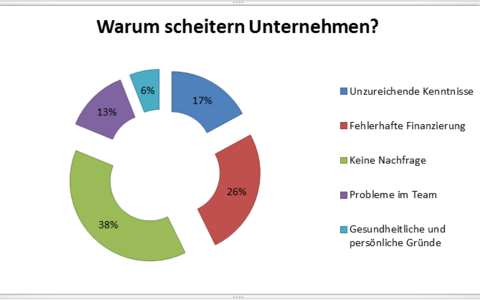 Gruende fuer das Scheitern von Unternehmen - Foto: selbsterstellte Grafik