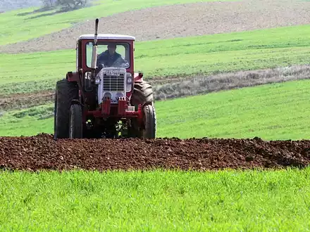 Bauer mit Traktor (Archiv) - Foto: über dts Nachrichtenagentur