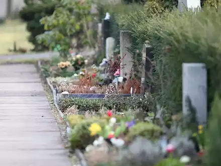 Friedhof (Archiv) - Foto: über dts Nachrichtenagentur