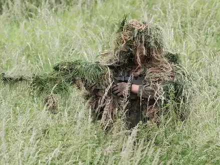 Getarnter Soldat (Archiv) - Foto: über dts Nachrichtenagentur