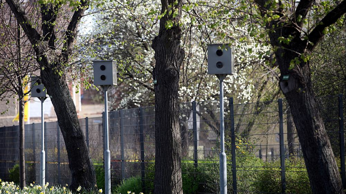 Starenkästen (Archiv) - Foto: über dts Nachrichtenagentur